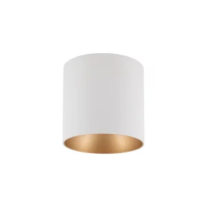 EYE TONE white-gold 8926 Nowodvorski